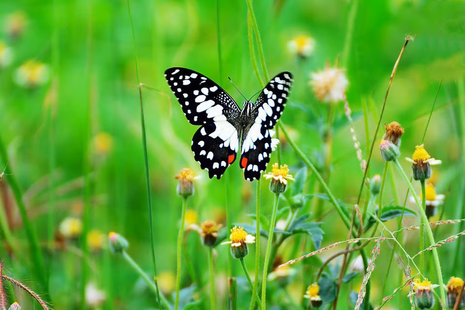 Nguoi sinh ngay Am lich nay theo duoi thanh cong, trung nien 