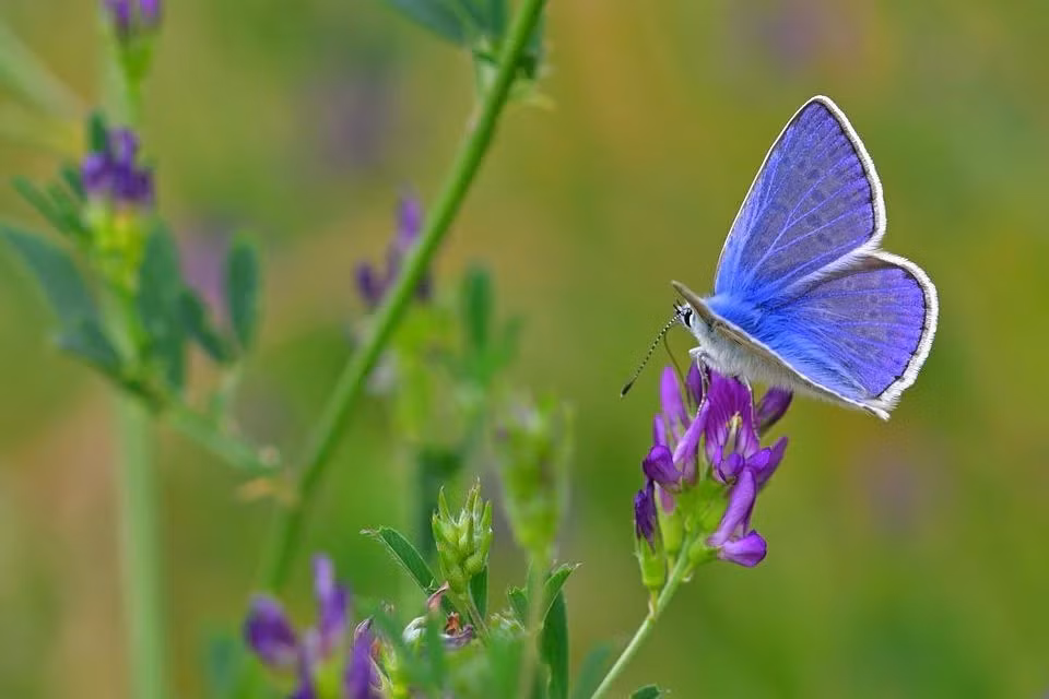 Nguoi sinh ngay Am lich nay theo duoi thanh cong, trung nien 