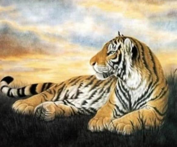 Cuoi nam, xem van may cua 12 con giap, tuoi nao tot nhat?