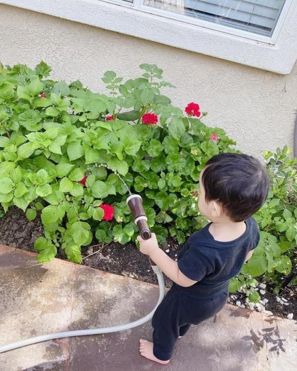 rước đó, chưa đầy 1 tuổi nhưng Maximus đã được lập trang cá nhân riêng và lượng có người hâm mộ không kém mẹ. Phạm Hương khoe con trai tưới cây: "Em bé tí hon tưới cây trong vườn".
