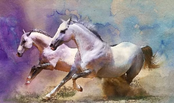  Tuổi Ngọ. Phụ nữ tuổi Ngọ thường thích cách ăn mặc bình dân. Con giáp này có bộ óc thông minh, biết tính toán tiền bạc đâu ra đấy. Đây chính là vốn liếng quý giá của người tuổi Ngọ.