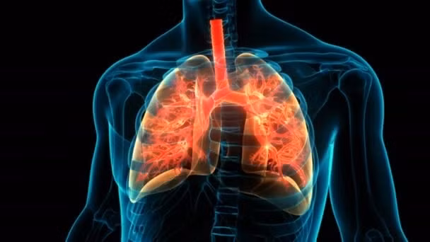 Nhung benh truyen nhiem gay tu vong nhieu nhat the gioi