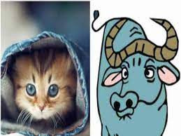 Con cái của họ tự lập từ nhỏ, lớn lên thường giỏi giang, thành tài, là niềm tự hào của gia đình, dòng họ. 