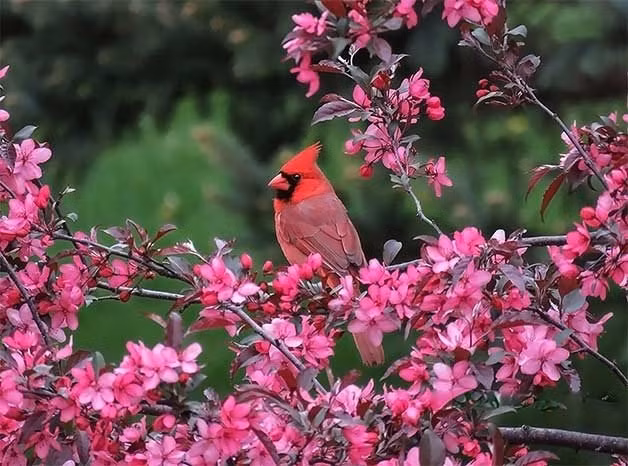  Người sinh tháng Âm lịch này cũng có cách cư xử nhẫn nại với mọi người, không bao giờ hành xử nóng nảy, không la lối, quát mắng dù có gặp phải chuyện không vừa lòng đến đâu.