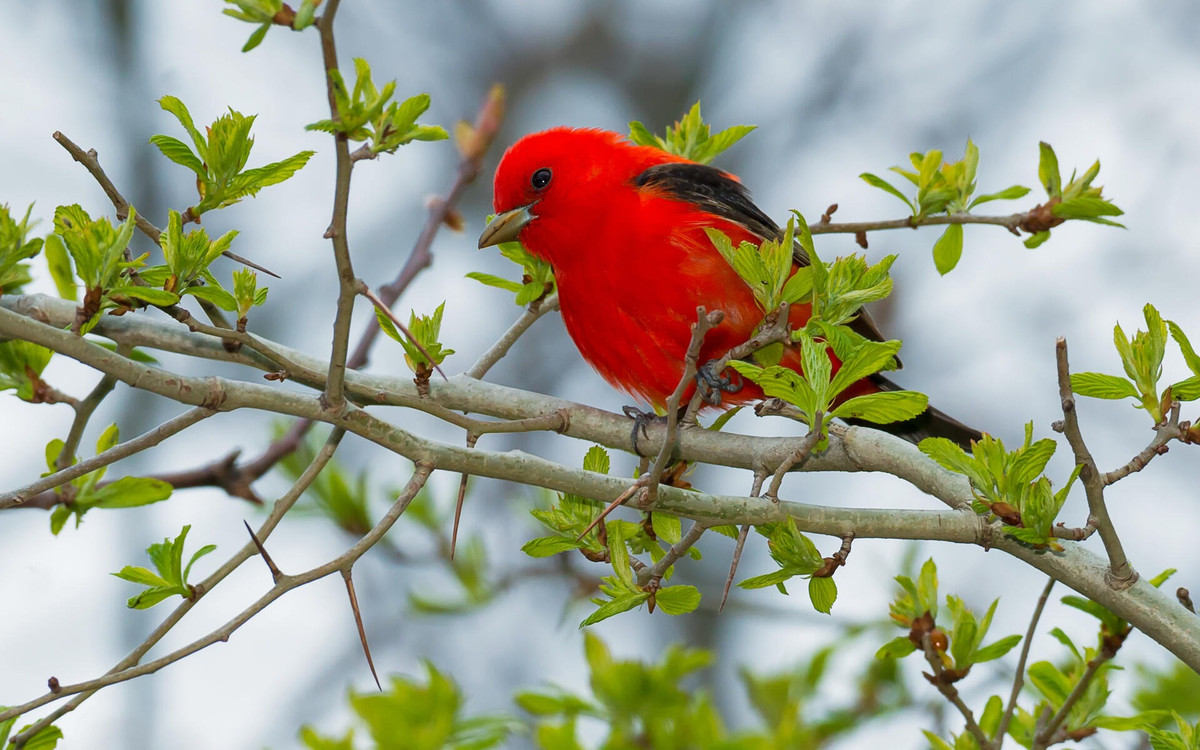 Những người sinh vào 3 tháng Âm lịch này may mắn "ngậm thìa vàng" ngay từ khi sinh ra. Khi trưởng thành họ cũng rất có năng lực, học hành giỏi giang, nhờ thế, họ nhanh chóng thành công trong sự nghiệp và cuộc sống.