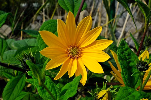 Ai sinh thang Am lich nay be ngoai gian di, tinh cach khien ton