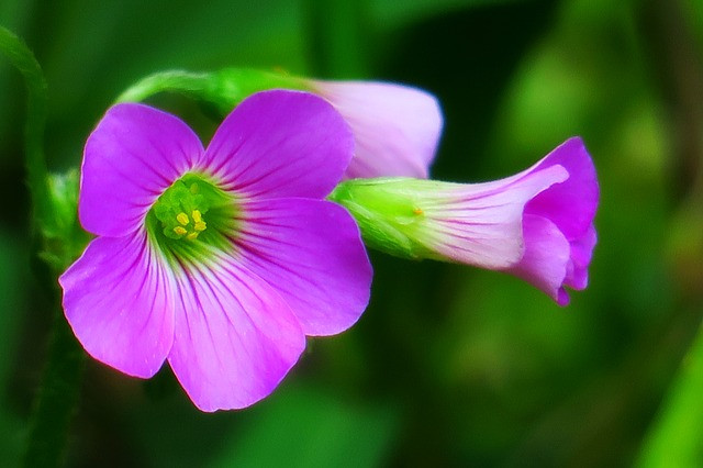 Ai sinh tháng Âm lịch này bề ngoài giản dị, tính cách khiên tốn - Hình 3 Ai sinh thang Am lich nay be ngoai gian di, tinh cach khien ton-Hinh-3