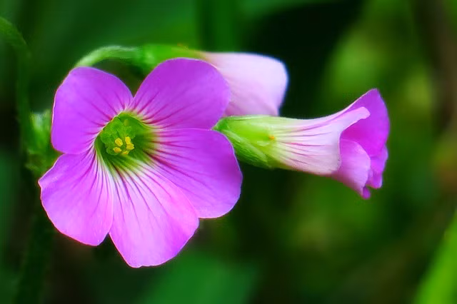 Ai sinh thang Am lich nay be ngoai gian di, tinh cach khien ton-Hinh-3