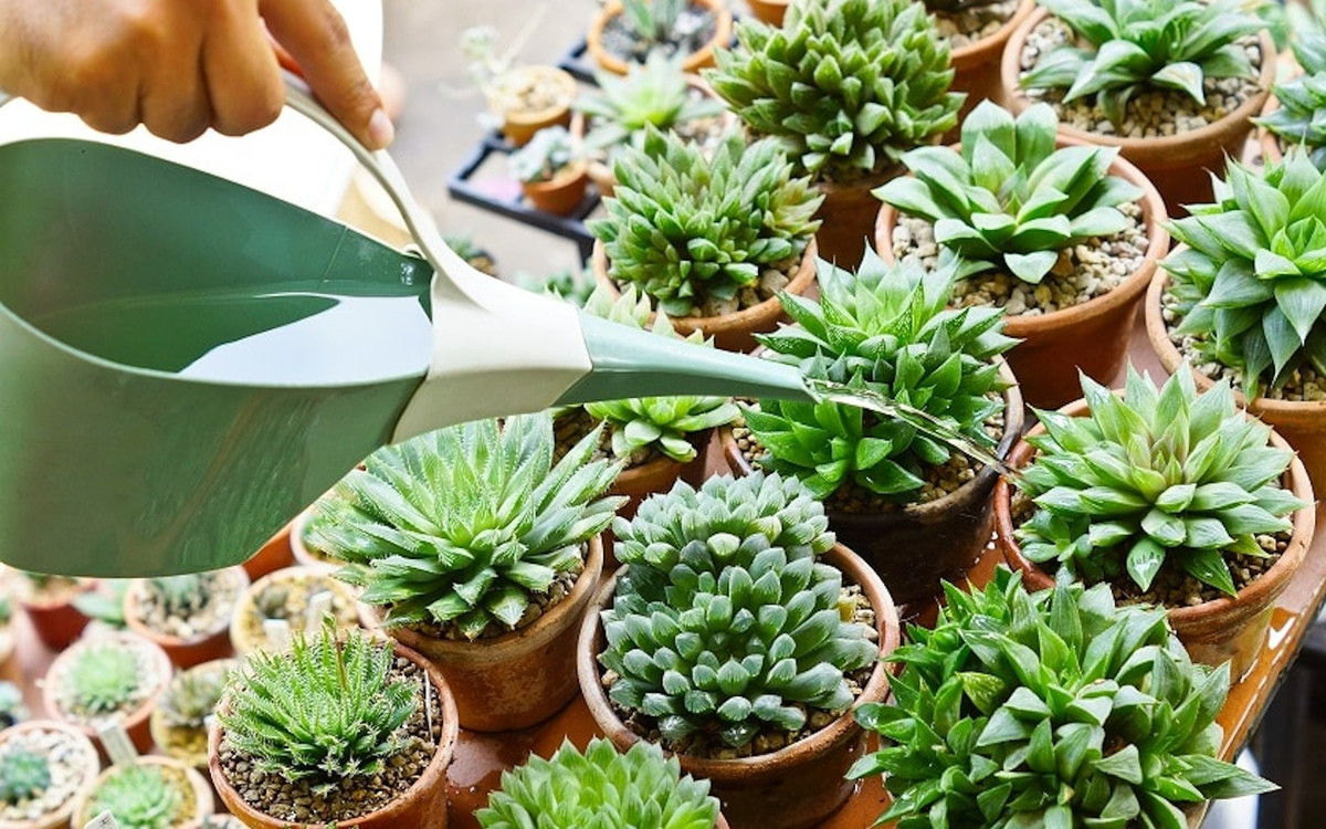 Ai sinh tháng Âm lịch này bề ngoài giản dị, tính cách khiên tốn - Hình 2 Ai sinh thang Am lich nay be ngoai gian di, tinh cach khien ton-Hinh-2