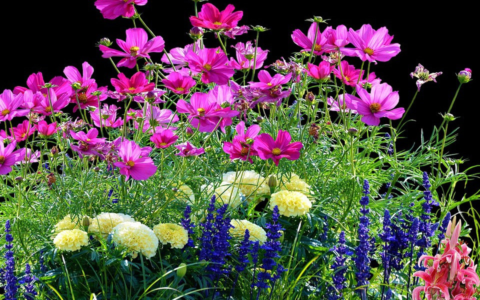 Ai sinh tháng Âm lịch này bề ngoài giản dị, tính cách khiên tốn - Hình 4 Ai sinh thang Am lich nay be ngoai gian di, tinh cach khien ton-Hinh-4