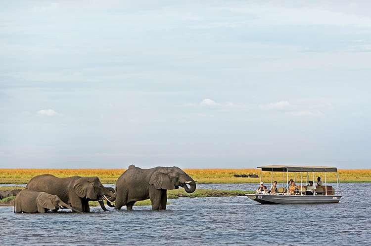 Chobe (châu Phi) là một trong những dòng sông hoang dã và tuyệt đẹp trên thế giới, đem lại cho du khách cơ hội chiêm ngưỡng các động vật kỳ thú. Ảnh: Safari Specialists.