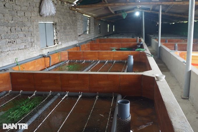 Cho luon nghe nhac, nguoi dan ong thu hang tram trieu moi nam