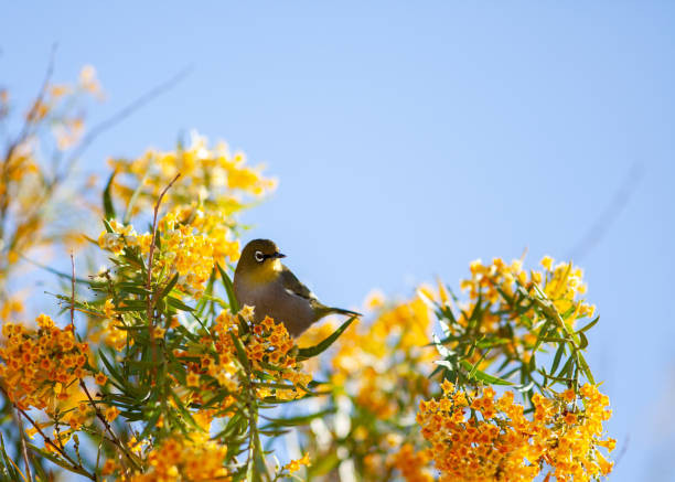 Sinh vào 4 ngày Âm nào phúc lộc dồi dào, "ngậm thìa vàng" từ bé? - Hình 3 Sinh vao 4 ngay Am nao phuc loc doi dao,