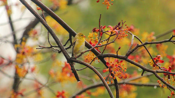 Sinh vào 4 ngày Âm nào phúc lộc dồi dào, "ngậm thìa vàng" từ bé? - Hình 5 Sinh vao 4 ngay Am nao phuc loc doi dao,