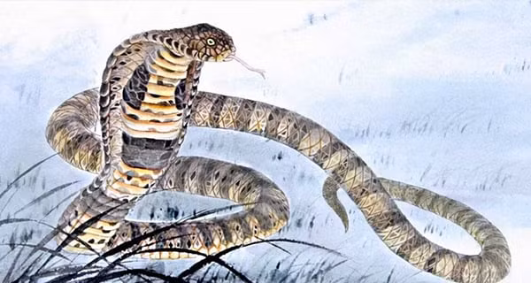 Xoi loi Troi cho: 4 tuoi thien luong huong loc, doi doi 2 nam toi-Hinh-4