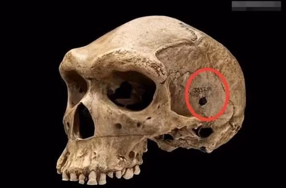 Nguoi tien su chung minh loai nguoi da bi huy diet nhieu lan?-Hinh-8