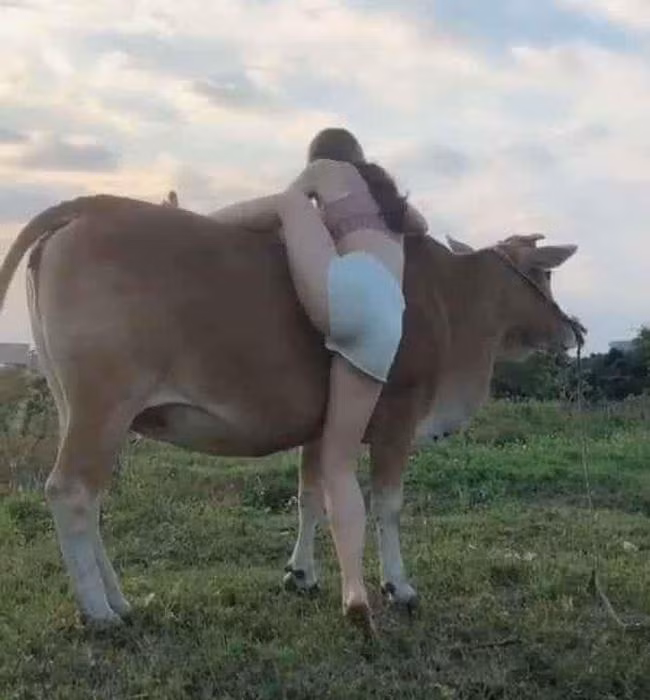 Mac ao tre co sau di chan trau, co 