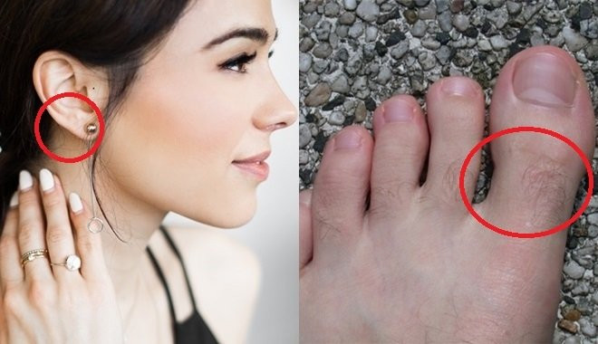 4 vị trí đột nhiên mọc lông gia chủ ngồi không hưởng lộc - Hình 2 4 vi tri dot nhien moc long gia chu ngoi khong huong loc-Hinh-2