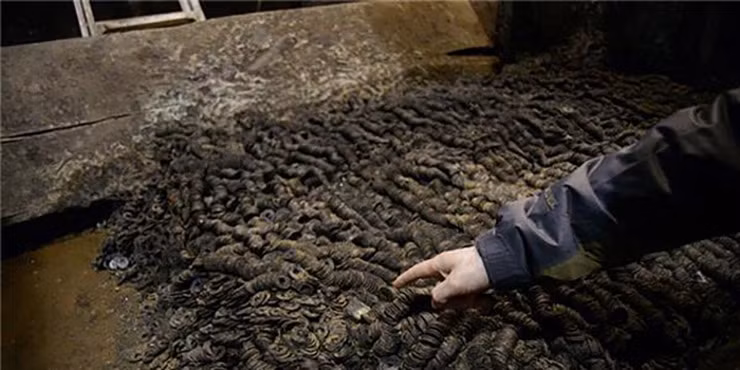 Dao mong xay nha thay co dieu bat thuong, tat ca choang vang-Hinh-6