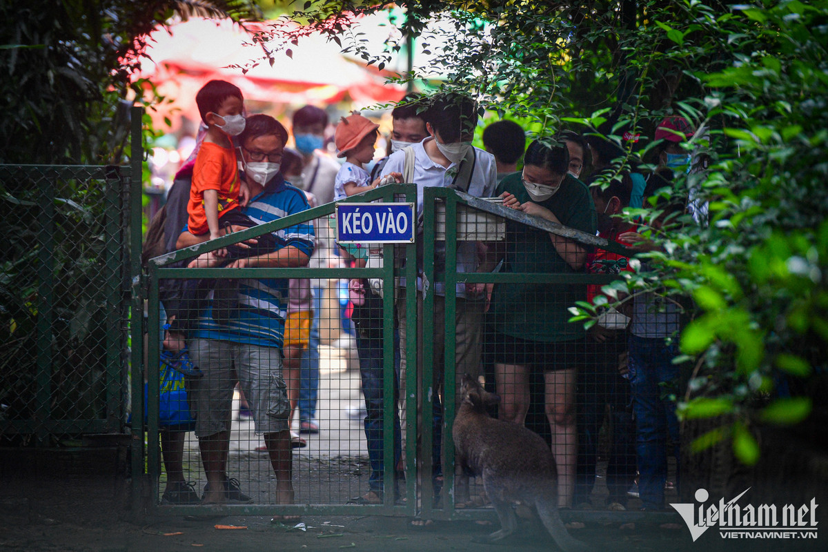 Chơi lễ, người dân dựng lều ngủ la liệt trong Thảo Cầm Viên - Hình 3 Choi le, nguoi dan dung leu ngu la liet trong Thao Cam Vien-Hinh-3