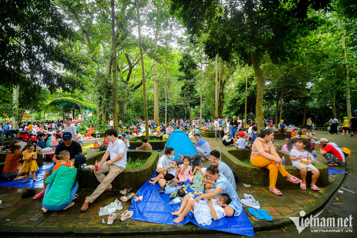 Chơi lễ, người dân dựng lều ngủ la liệt trong Thảo Cầm Viên - Hình 6 Choi le, nguoi dan dung leu ngu la liet trong Thao Cam Vien-Hinh-6