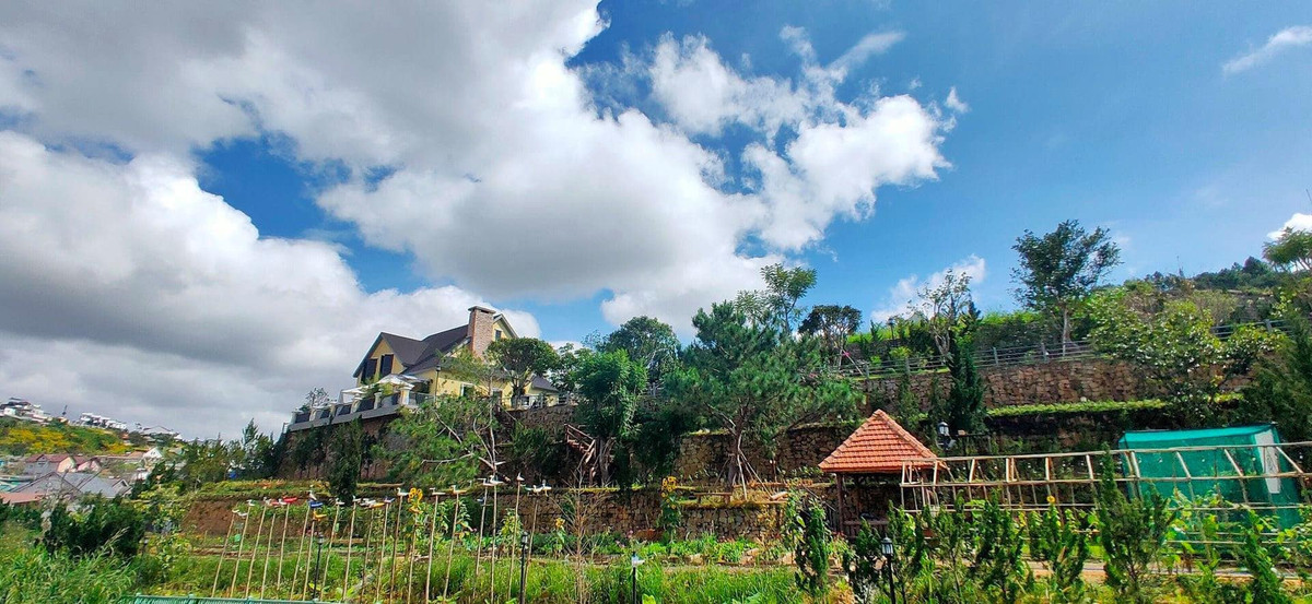 Biệt thự nằm trên đồi, bao quanh là khu vườn rồng 3.000m2, trồng các loại cây trái hữu cơ, không sử dụng hóa chất trong quá trình canh tác. Chủ nhân biệt thự chia sẻ, anh đã dành thời gian để cải tạo đất về trạng thái ban đầu, từ đó trồng hoa, cây cảnh sạch.