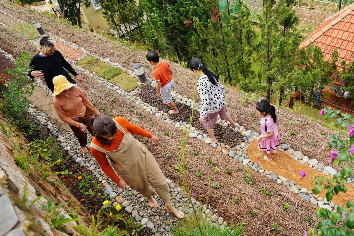 Chính vì trồng thuận tự nhiên, mùa nào thức đó nên hệ sinh thái trong khu vườn rất đa dạng, phong phú. Trong ảnh là con đường trải sỏi, mát-xa chân anh tự nghiên cứu làm.