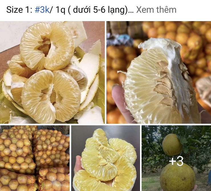 Buoi Dien duoc rao ban tren cho mang chi tu 3.000 dong/qua