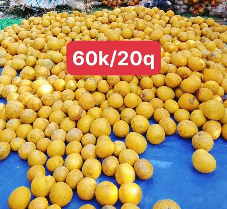 Buoi Dien duoc rao ban tren cho mang chi tu 3.000 dong/qua-Hinh-2