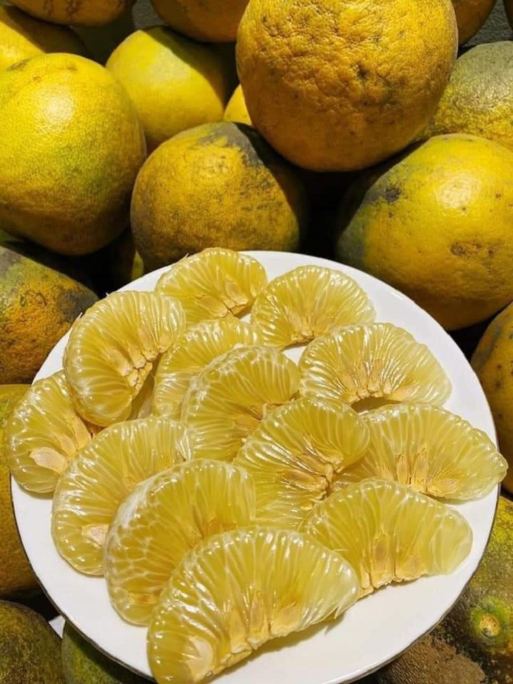 Buoi Dien duoc rao ban tren cho mang chi tu 3.000 dong/qua-Hinh-3