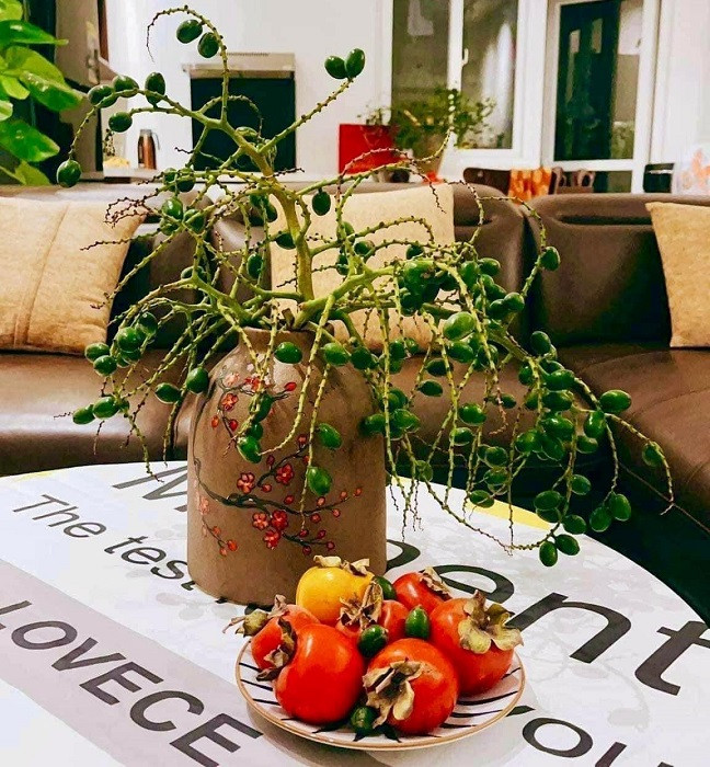 Thu choi mua canh qua ve cam cua chi em Ha thanh-Hinh-11