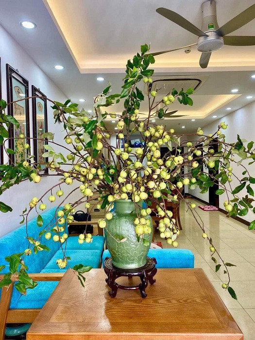 Thu choi mua canh qua ve cam cua chi em Ha thanh-Hinh-5