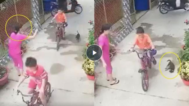 Nguoi phu nu thang tay nem da chet chu cho gay phan no