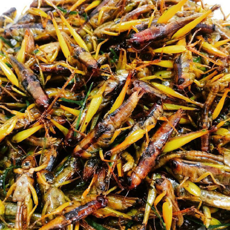 Muồm muỗm rang Mường Lò còn là một đặc sản ngon nức tiếng tại Yên Bái, không thể thiếu trên bàn nhậu.