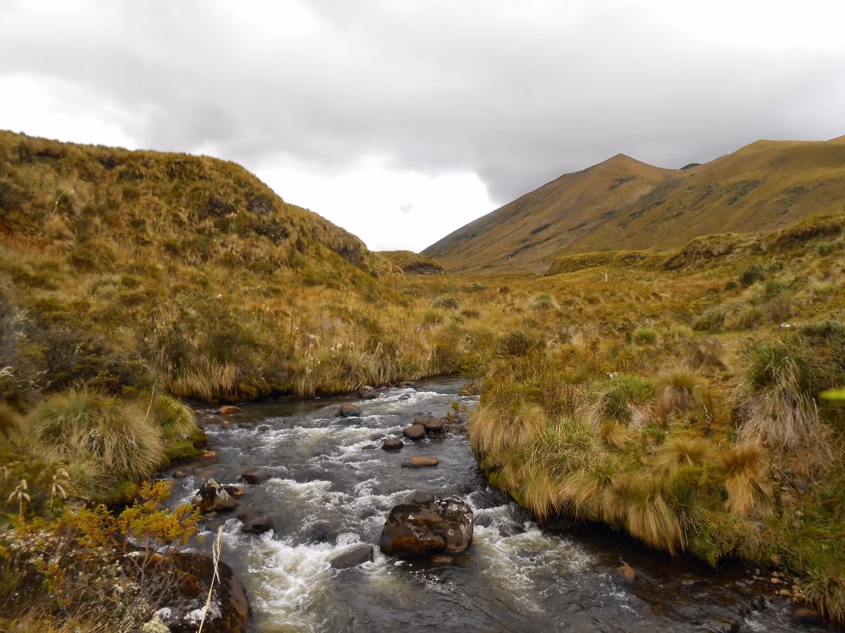 Truy tim kho bau 750 tan vang cua de quoc Inca bi an-Hinh-4