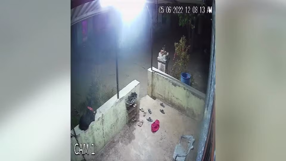 Chó nhà "tử chiến" báo hoa mai trong đêm và cái kết Cho nha