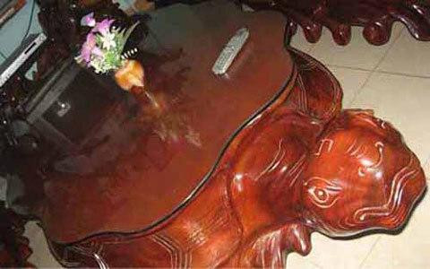 Những loại gỗ quý như ngọc được săn lùng ở Việt Nam - Hình 4 Nhung loai go quy nhu ngoc duoc san lung o Viet Nam-Hinh-4