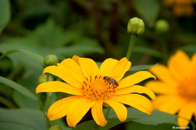 Đến tuổi trung niên, công danh, sự nghiệp của họ mới dần rộng mở. Những nỗ lực mà những người này đã bỏ ra cũng đến ngày được đền đáp xứng đáng.