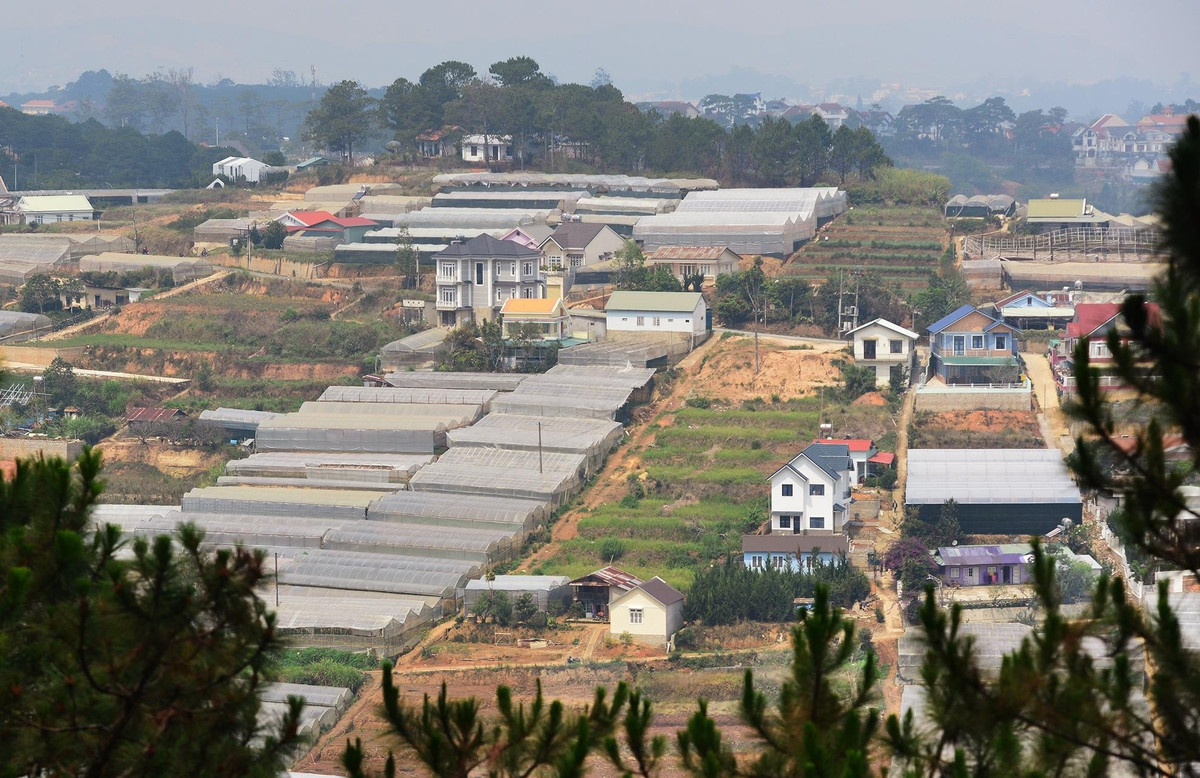Thieu khong gian cho nuoc, Da Lat con ngap nang-Hinh-2