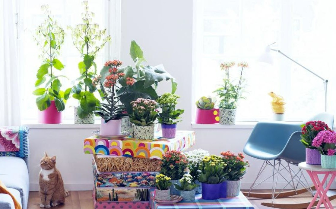 Van xui ket thuc, 3 con giap boi thu, quy nhan phu tro thang 9 am-Hinh-3