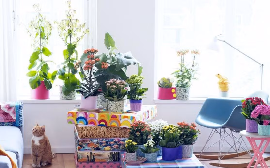 Van xui ket thuc, 3 con giap boi thu, quy nhan phu tro thang 9 am-Hinh-3