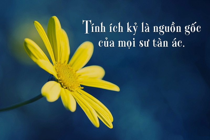 Khi một người sống có thể mở rộng tấm lòng của mình thì tâm linh mới có thể thăng hoa. Tâm lượng, lòng dạ càng rộng thì phiền não càng nhẹ. Người có lòng dạ nhỏ hẹp thông thường sẽ không bao dung, không yêu thương nổi và cũng không tiếp nhận được khuyết điểm của người khác.