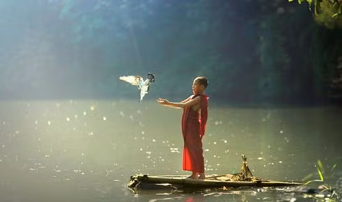 Âm đức vốn không tự nhiên mà có, nó cần phải trải qua quá trình tích lũy và bồi dưỡng. Thế nên bên cạnh việc tìm cách tích đức, điều quan trọng không kém là tránh xa những việc làm khiến phúc đức con người hao tổn.