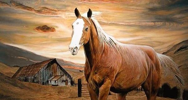 Tuổi Ngọ. Theo các chuyên gia phong thủy, những người tuổi Ngọ nằm trong số những con giáp may mắn có được sức khỏe tốt, cả về thể chất lẫn tinh thần.