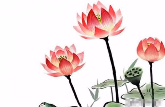 Nhung nguoi sinh vao 7 ngay nay kho thoat khoi kiep giau sang-Hinh-2