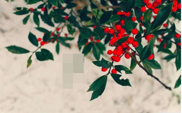 Nhung nguoi sinh vao 7 ngay nay kho thoat khoi kiep giau sang-Hinh-3