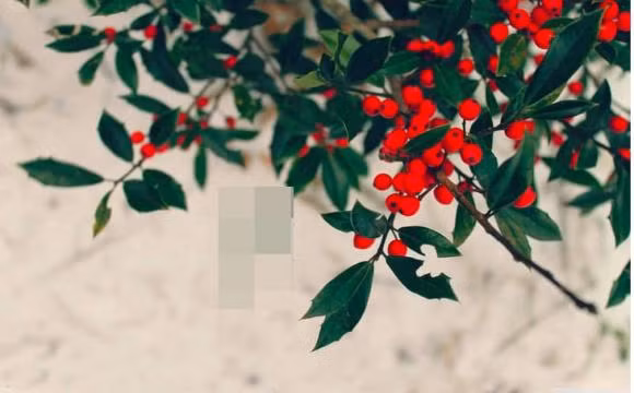 Nhung nguoi sinh vao 7 ngay nay kho thoat khoi kiep giau sang-Hinh-3