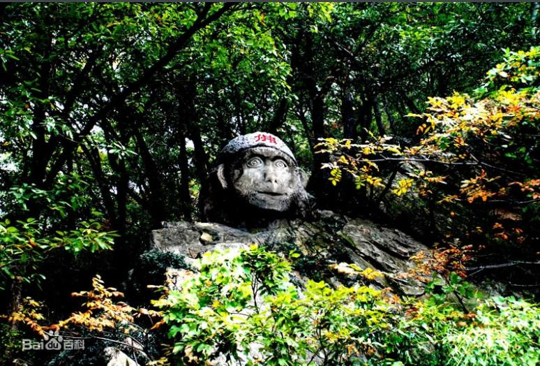 Hoa Quả Sơn của Tôn Ngộ Không có thật sự tồn tại? - Hình 3 Hoa Qua Son cua Ton Ngo Khong co that su ton tai?-Hinh-3