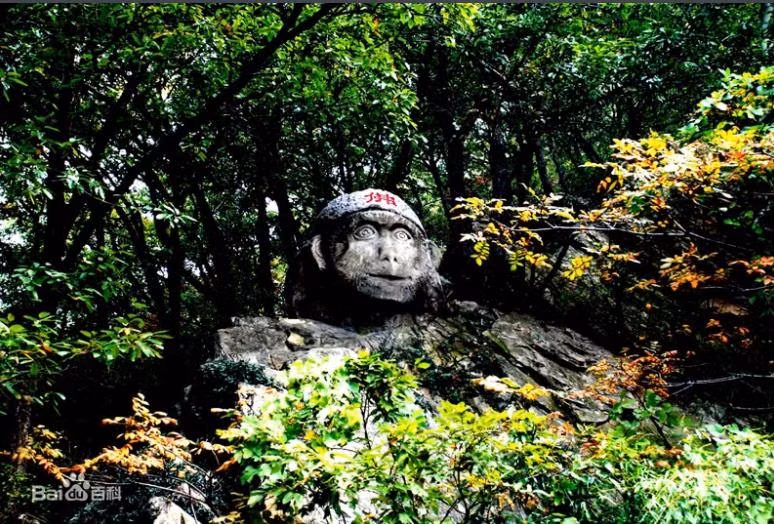 Hoa Qua Son cua Ton Ngo Khong co that su ton tai?-Hinh-3