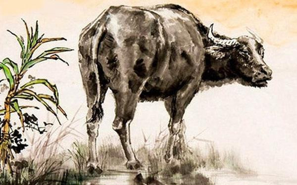 1. Tuổi Sửu. Con đường tài lộc của tuổi Sửu tươi sáng trong khoảng thời gian 6 tháng cuối năm 2022.